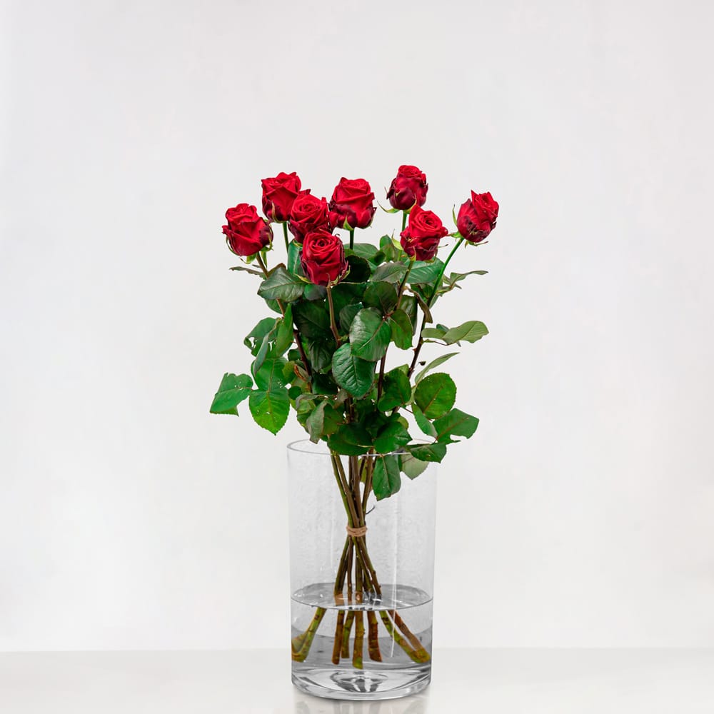 Lange Rode Rozen