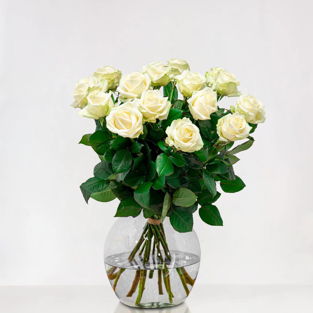 Lange Witte Rozen